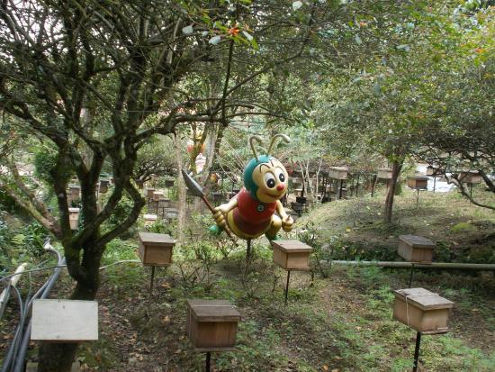 Ladang Madu Lebah Ee Feng Gu